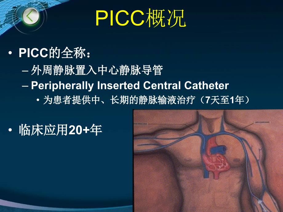 相关的血管解剖及穿刺部位的评估（护理）课件_第2页