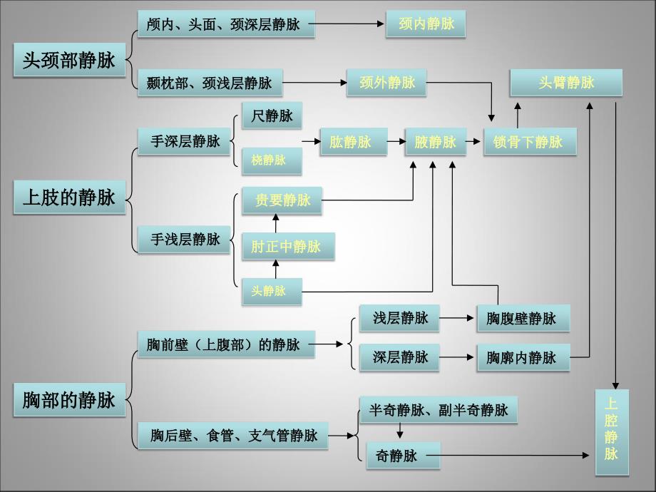 相关的血管解剖及穿刺部位的评估（护理）课件_第4页