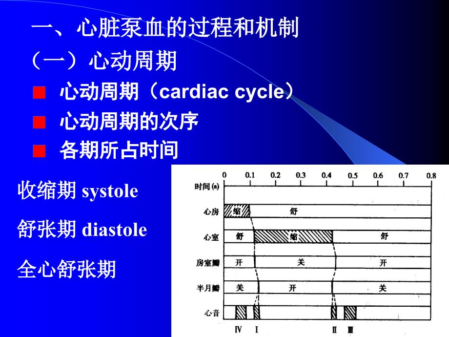 生理学课件第八版血液循环一_第4页