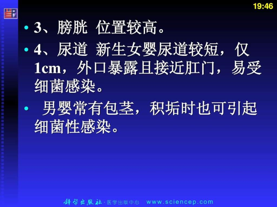 泌尿系统疾病患儿的护理短缺 儿科护理学课件 (2)_第3页