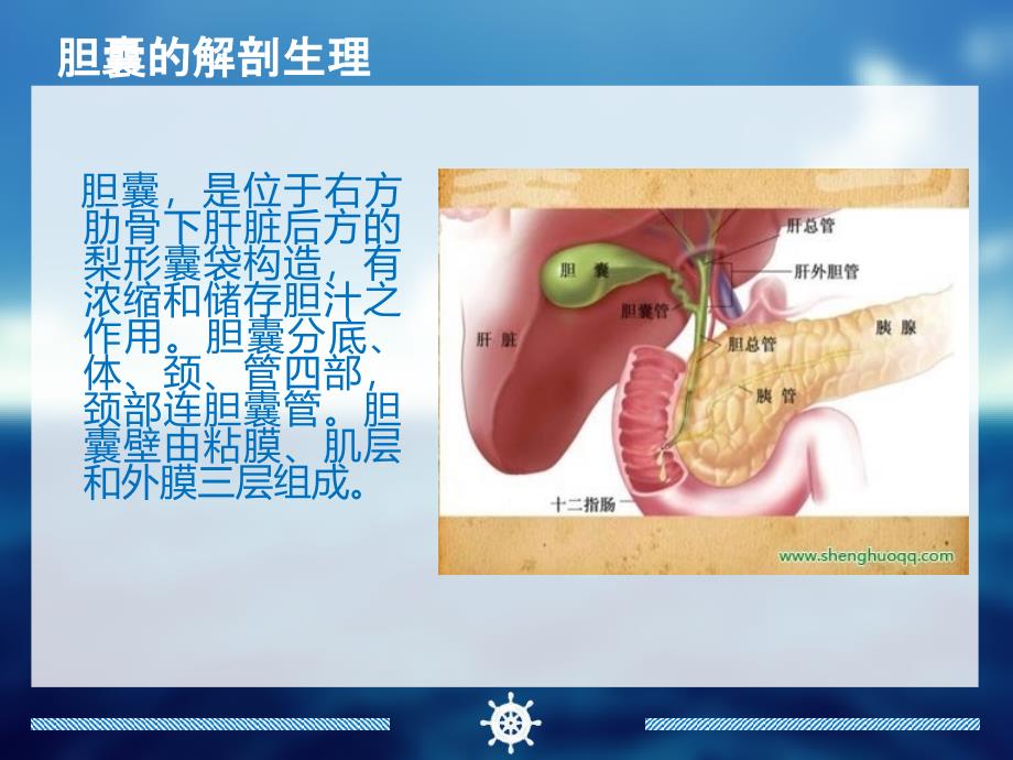 护理查房胆囊结石图文_1课件_第4页