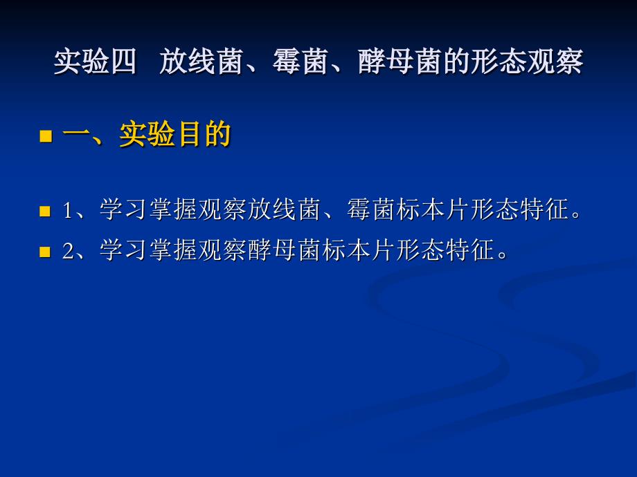 放线菌霉菌酵母菌的形态观察课件_第2页