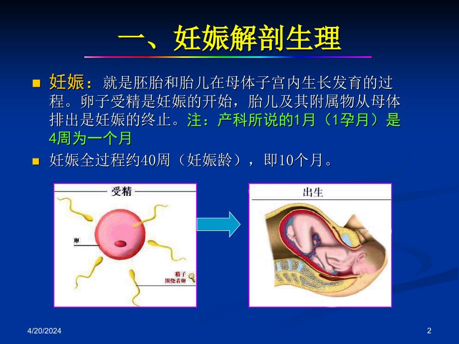 产科超声诊断 ppt课件_第2页