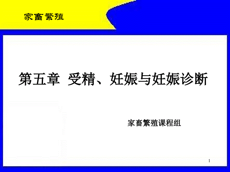 （课件）第五章受精妊娠与妊娠诊断_第1页