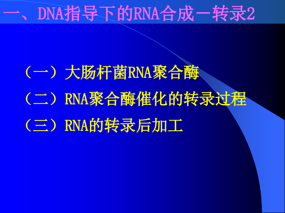 天津大学生物化学课件ppt 第十二章（45节）_第3页