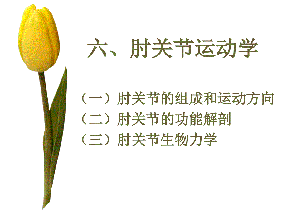 肘关节运动学ppt课件_第1页