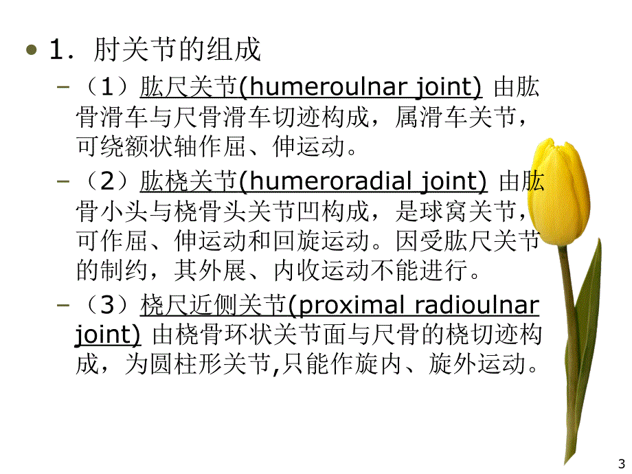 肘关节运动学ppt课件_第3页