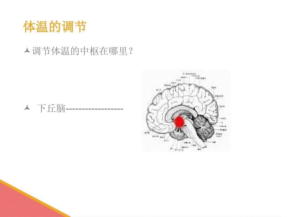 发热的护理2017年10月科室新护士培训_ppt课件_第5页