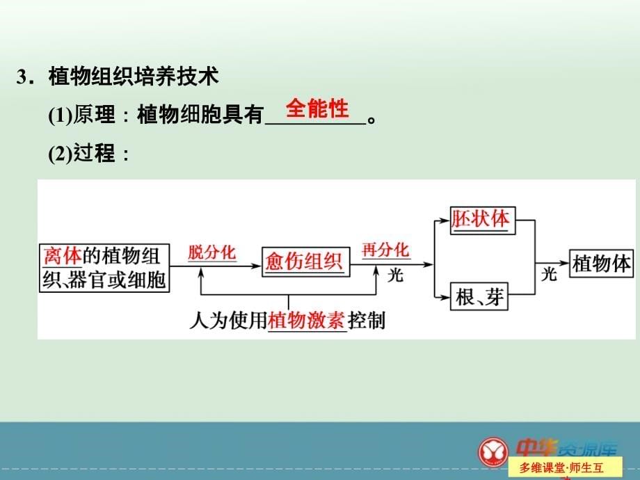 2015高考生物（苏教版）一轮复习课件x32克隆技术及生物技术的伦理问题_第5页