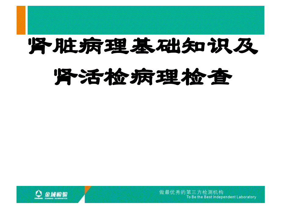 肾活检病理检查及肾脏病理基础知识课件_第1页