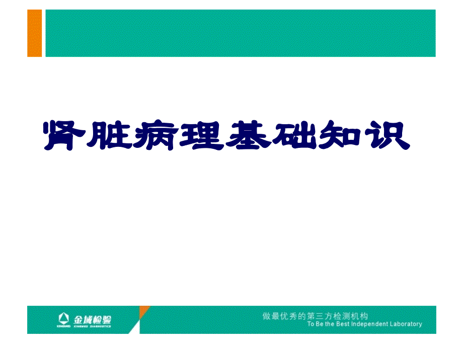 肾活检病理检查及肾脏病理基础知识课件_第2页