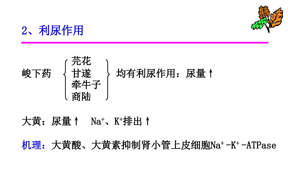 泻下药_中药药理学教学课件_第4页