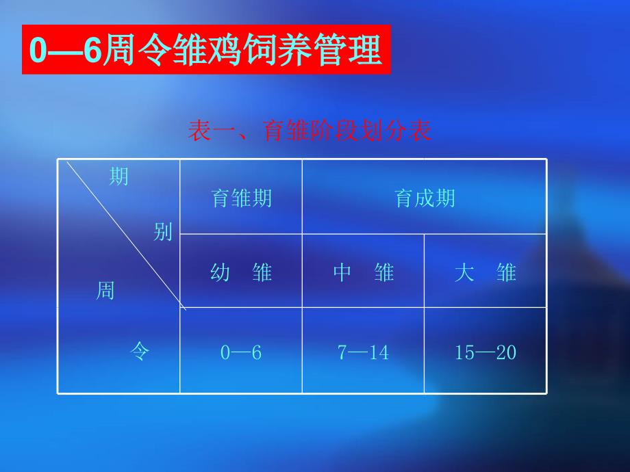 周令雏鸡饲养管理技术陕西省乾县农广校课件_第2页