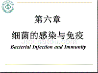 医学微生物学（第八版）第六章 细菌的感染和免疫ppt课件