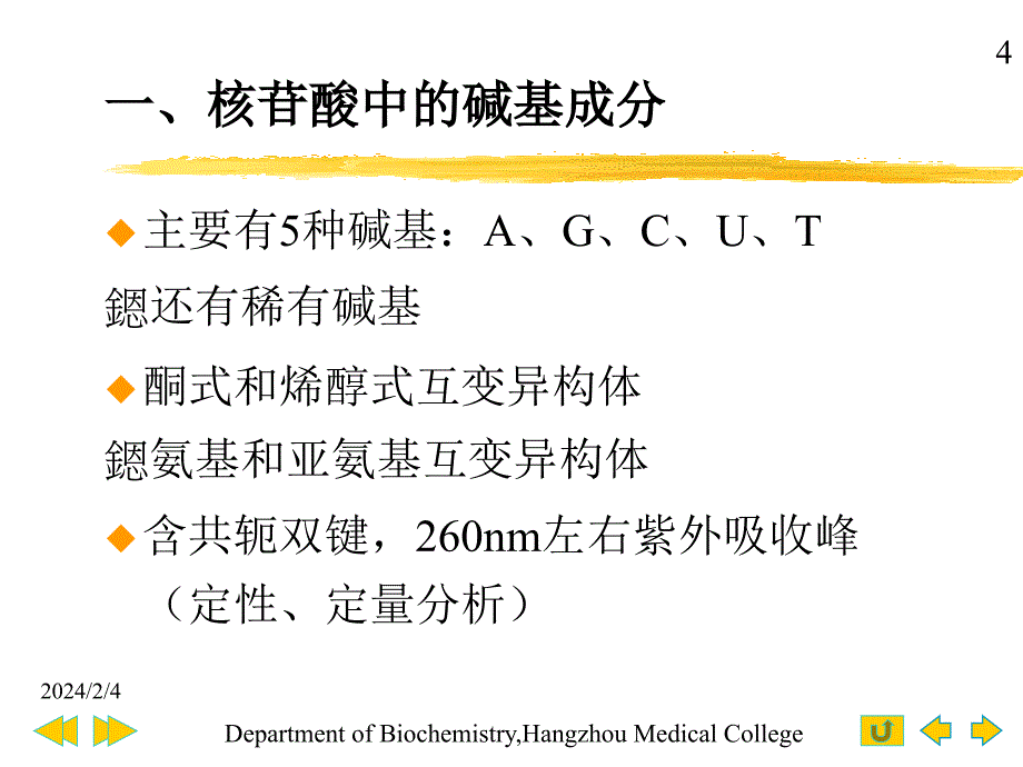 核酸化学生物化学课件 ppt 74页_第4页