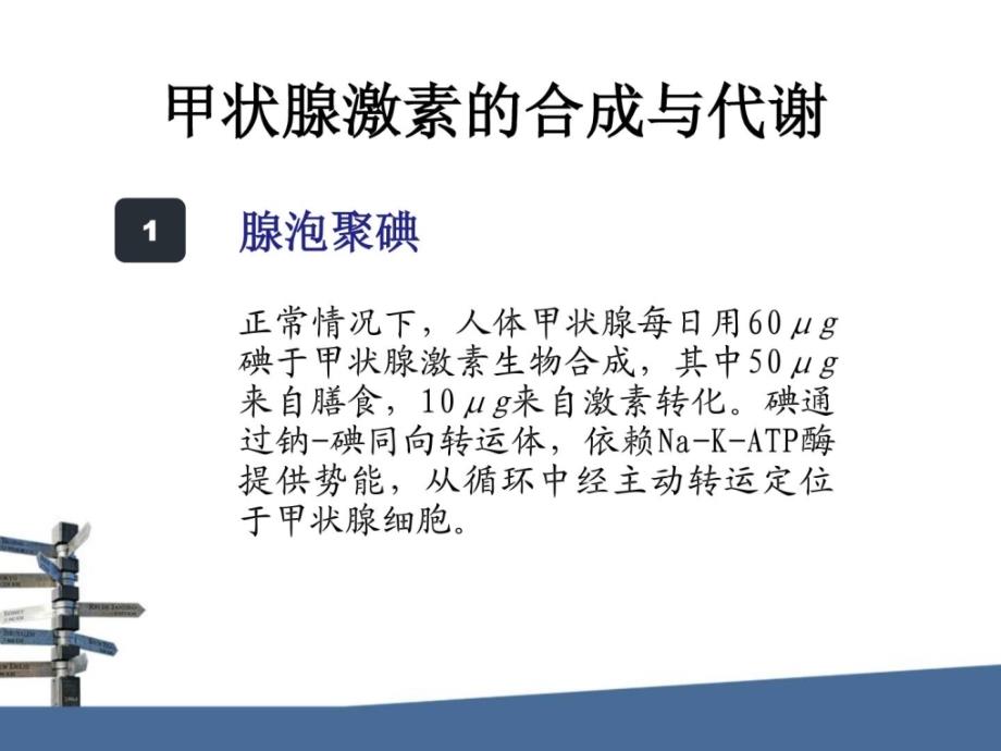 甲状腺激素生理妊娠期单纯低t4血症课件_第4页