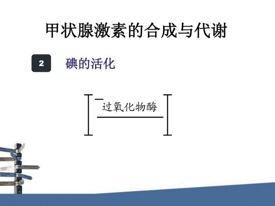 甲状腺激素生理妊娠期单纯低t4血症课件_第5页