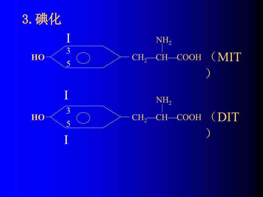 甲状腺功能减退症_12课件_第3页