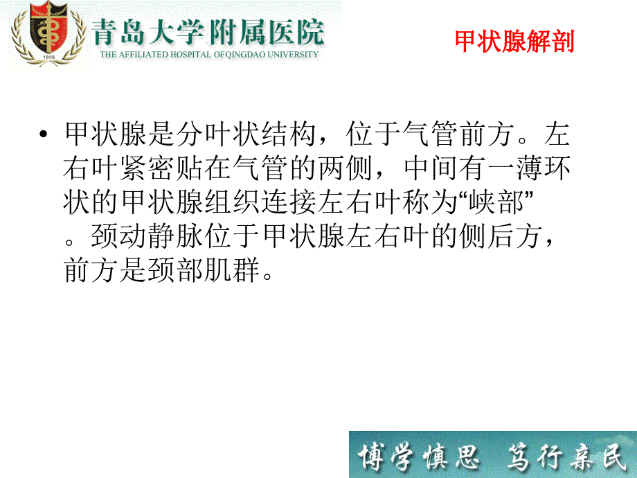 甲状腺病变的超声诊断与细针穿刺技术课件_第2页