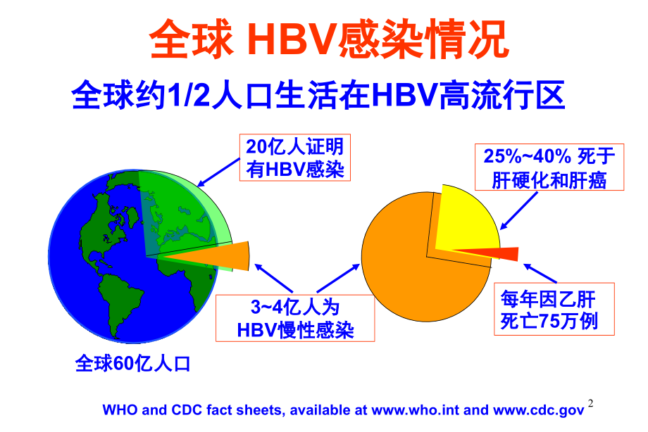 乙型肝炎流行病学课件_第2页