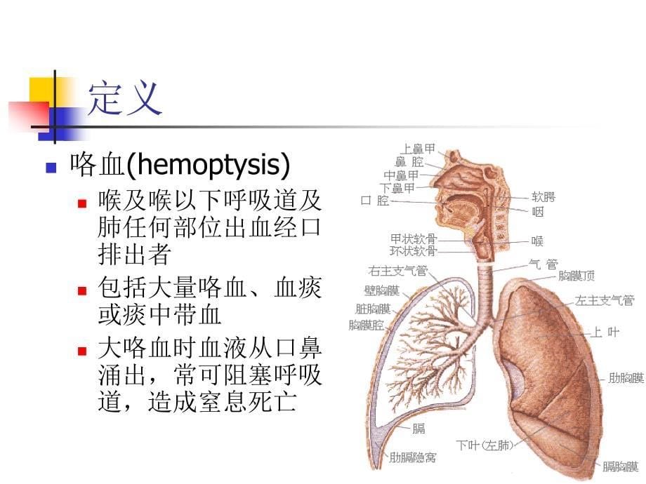 咯血呕血便血2014 ppt课件_第5页