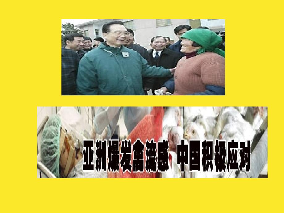 人禽流行性感冒的诊断治疗及预防陕西省人民医院儿科_焦富勇精品课件_第2页