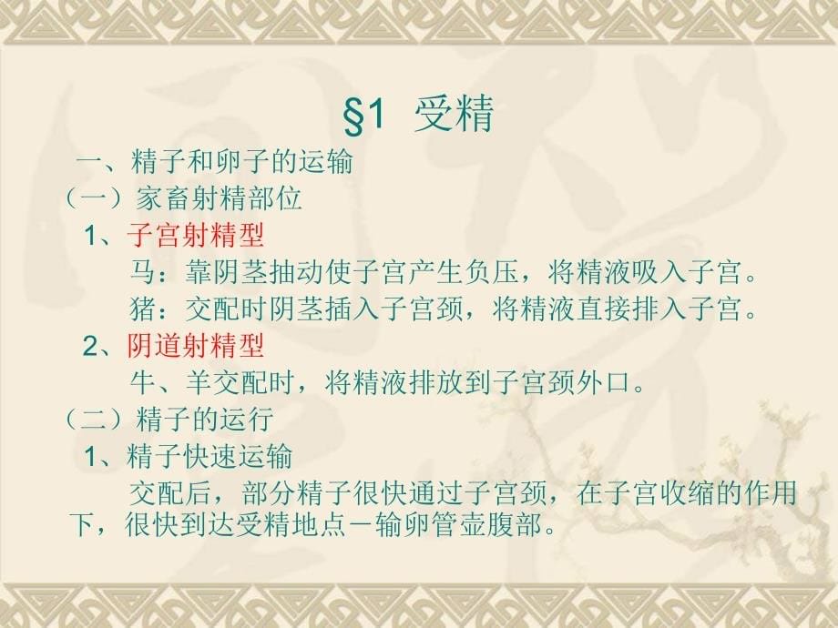 畜牧课件05 受精妊娠与分娩_第5页