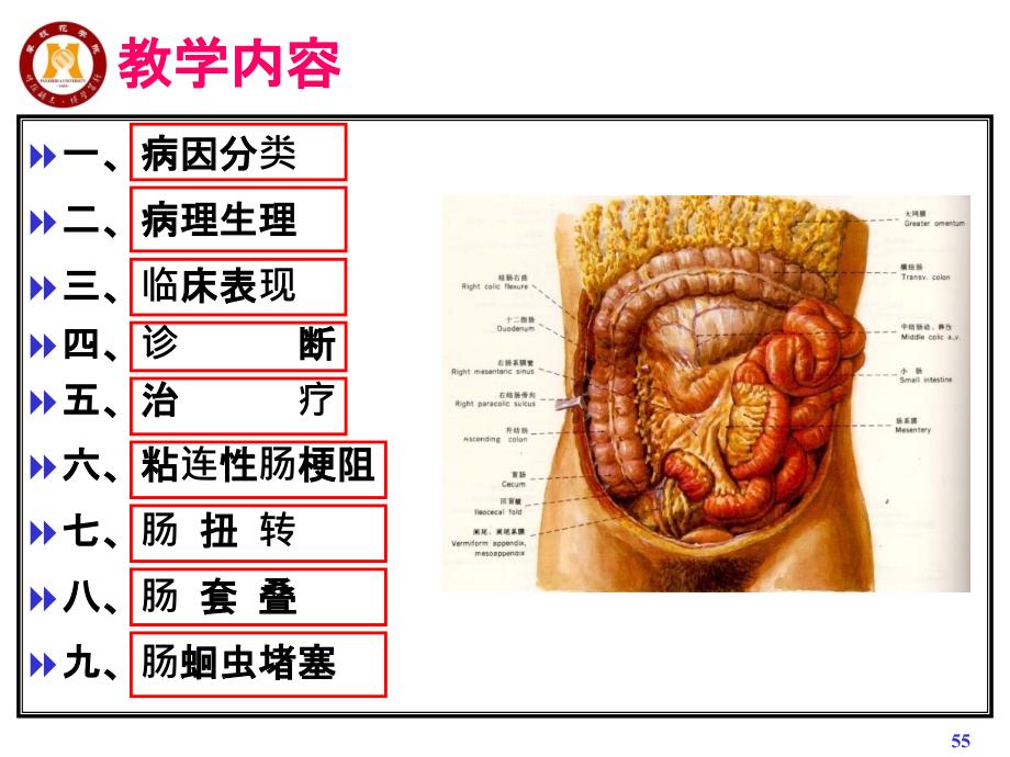 肠疾病病理远离介绍_第3页