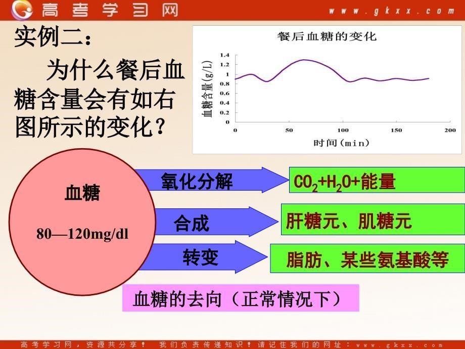 《高等动物的内分泌系统与体液调节》课件1（29张ppt）_第5页