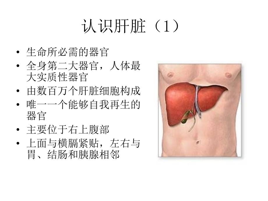 感染科护理查房慢性乙肝1概要课件_第3页