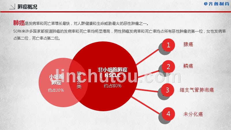 肺癌的靶向治疗法 ppt课件_第4页