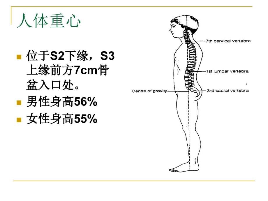 平衡功能评定_7课件_第5页