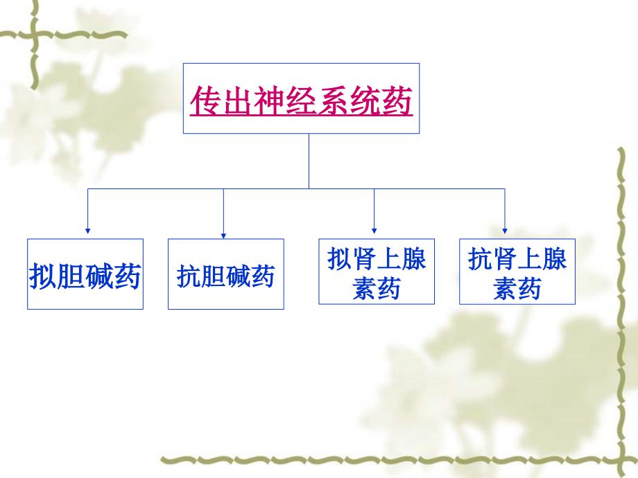 传出神经药概论课件_第2页