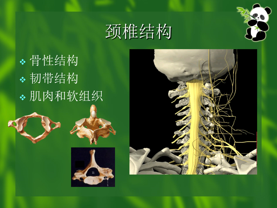 颈椎病的康复课件_2_第4页