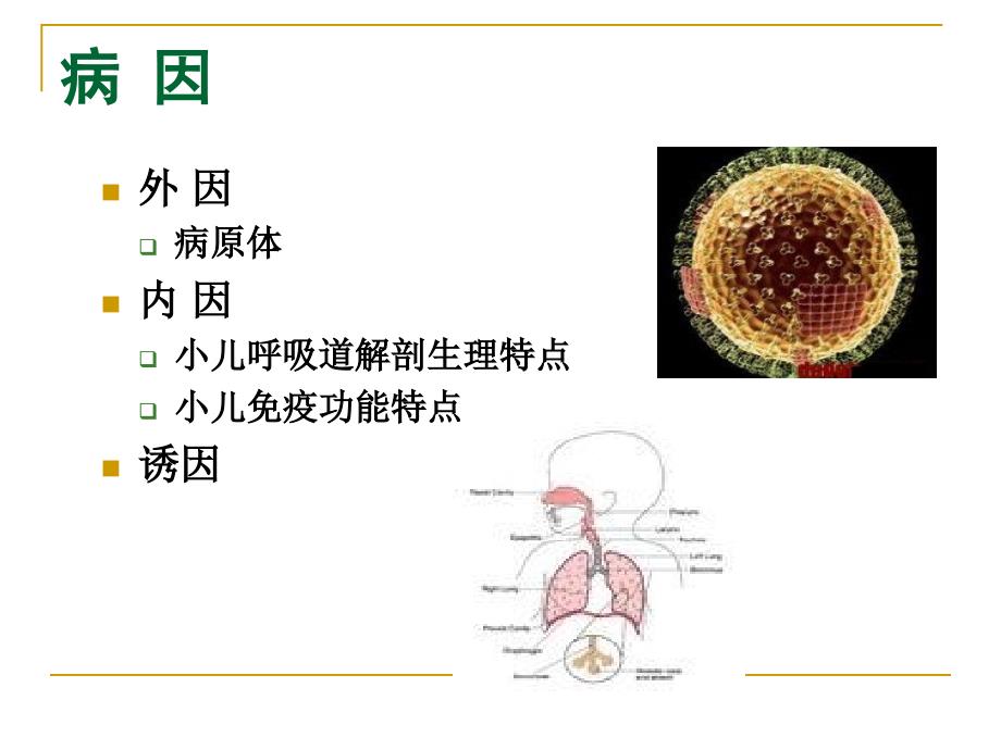 儿科学课件急性上呼吸道感染_第4页