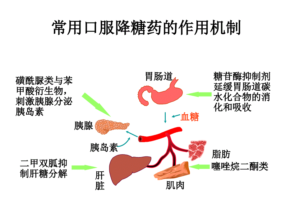 口服降糖药及胰岛素注射技术ppt课件_第4页