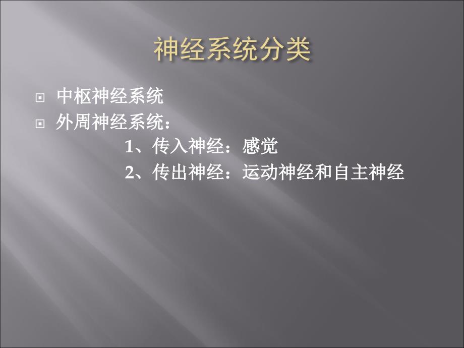 传出神经系统药理 概论课件_第4页