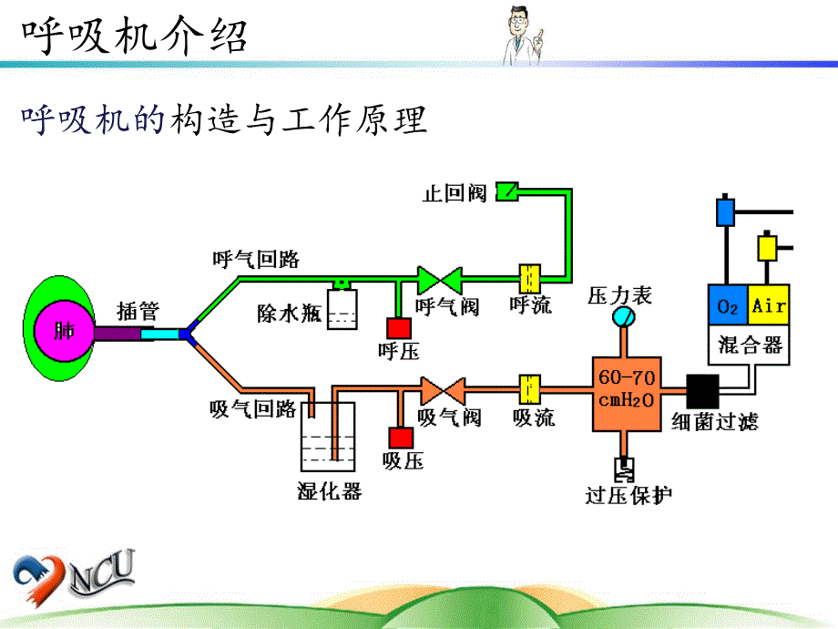 机械通气_（1）ppt课件_第4页