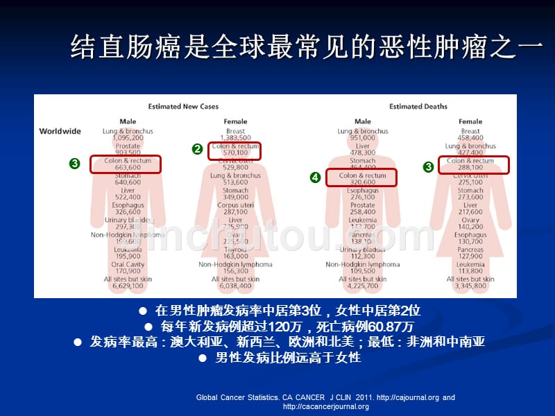 结直肠癌内科治疗现状讨论课件_第2页