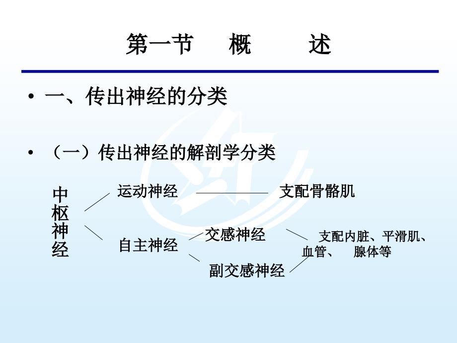 传出神经系统药药物学基础课件_第3页