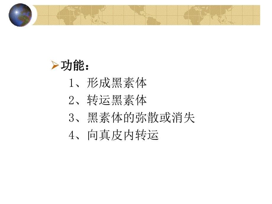 精品皮肤增白药和着色药课件_第5页