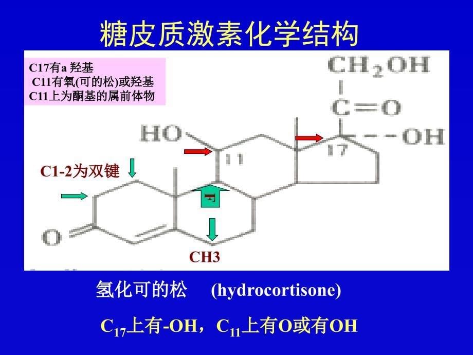 药学医学药理学课件第35章 肾上腺皮质激素类药物_第5页