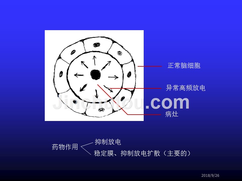 抗癫痫药和抗惊厥药课件_1 (2)_第3页