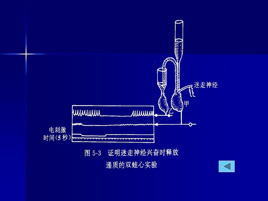 传出神经系统药理学概论_2课件_第5页