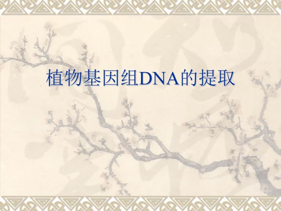 实验二植物基因组dna提取_第1页