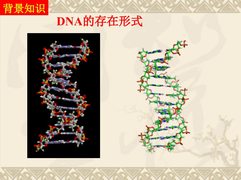 实验二植物基因组dna提取_第3页