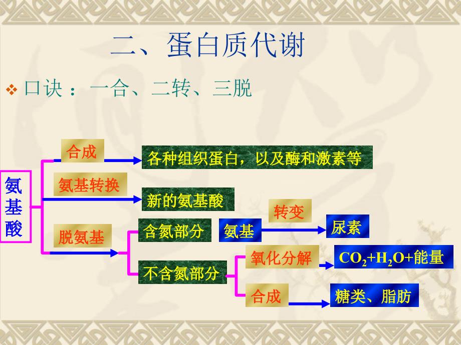 人和动物体内三大营养代谢_第4页