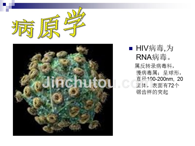 艾滋病 传染病学课件_第3页