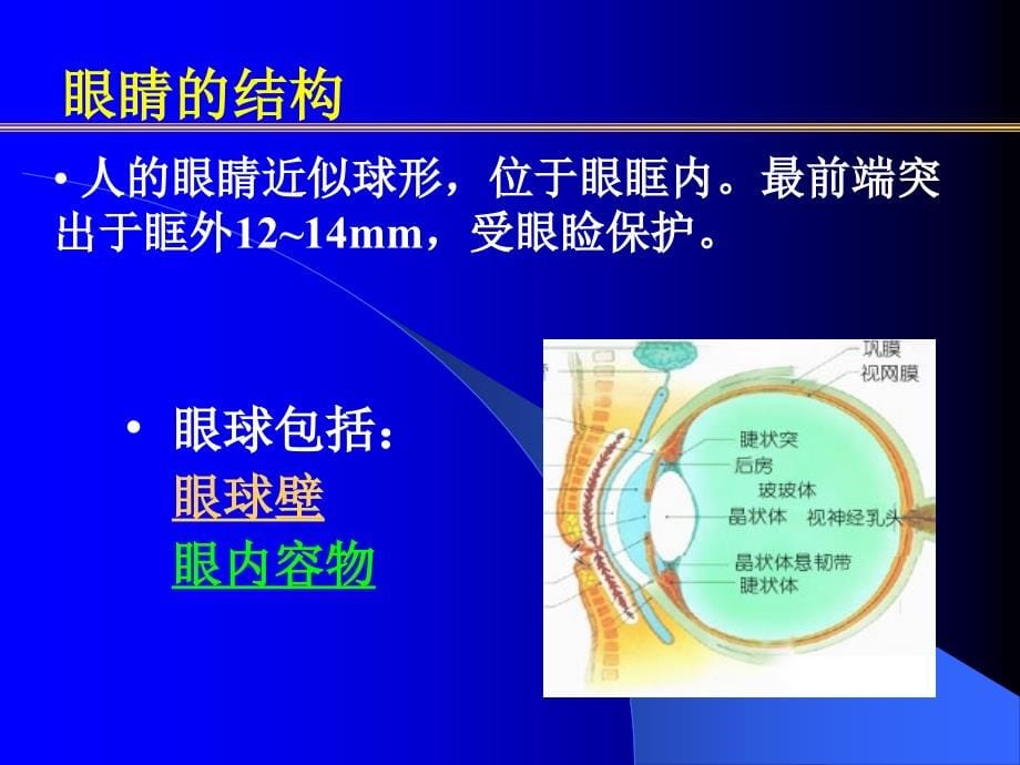 学生常见疾病的防治 ppt课件_第5页