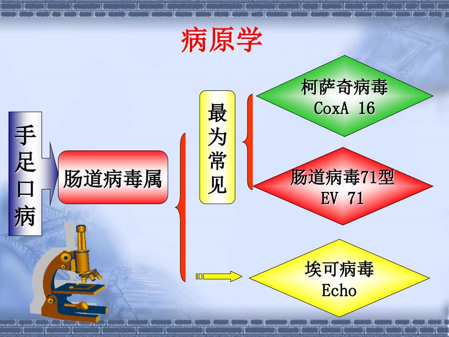 手足口病医院感染精品课件_第3页